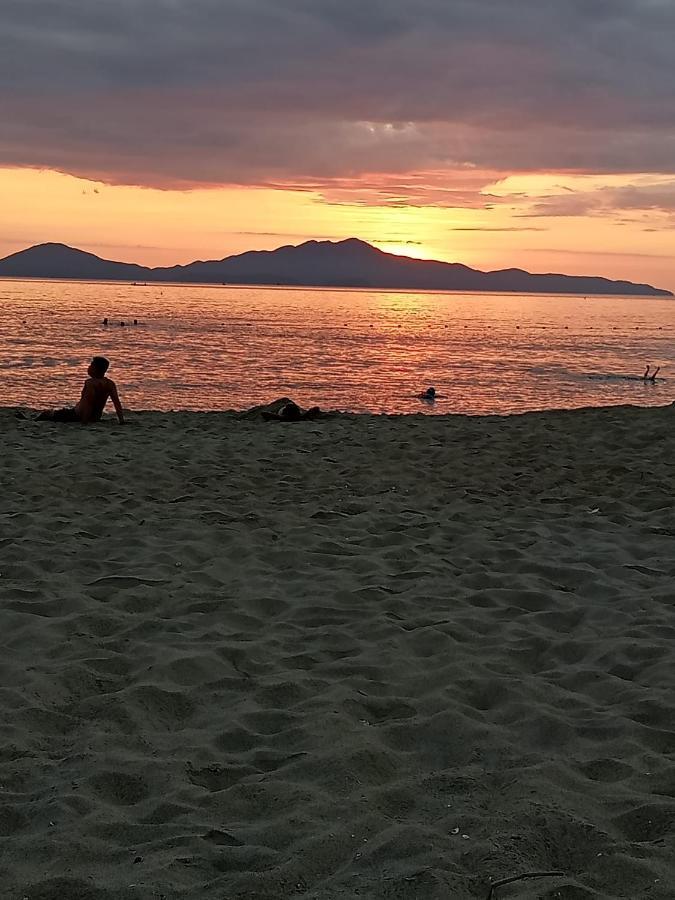 Pearl Beach Homestay Hoi An Exteriér fotografie